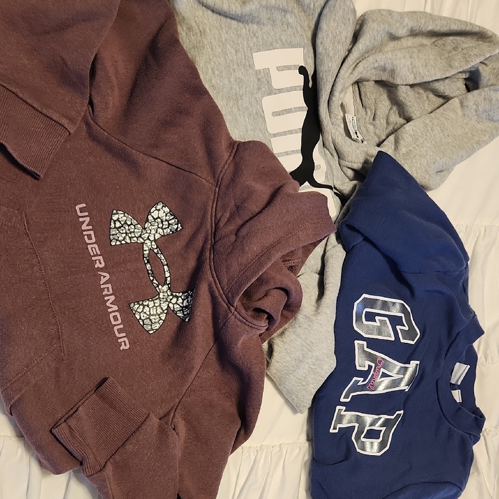 Under Armour Blue and Purple Sweatshirt Hoodie Casual Wear